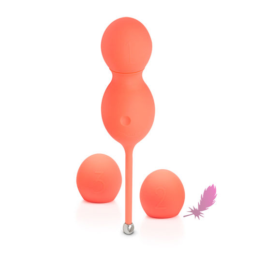 Набір вагінальних кульок з вібрацією We Vibe Bloom - фото7