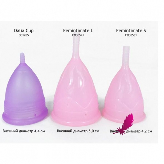 Менструальная чаша Femintimate Eve Cup L с душем - фото1