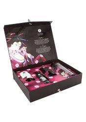 Подарочный набор в пару Shunga Naughty Kit