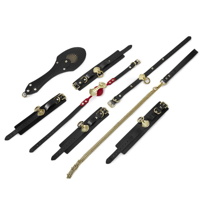 Набор-чемоданчик БДСМ Zalo BDSM Bondage Play Kit
