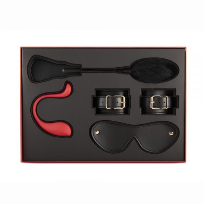 Лимитированный БДСМ набор Svakom Gift Box