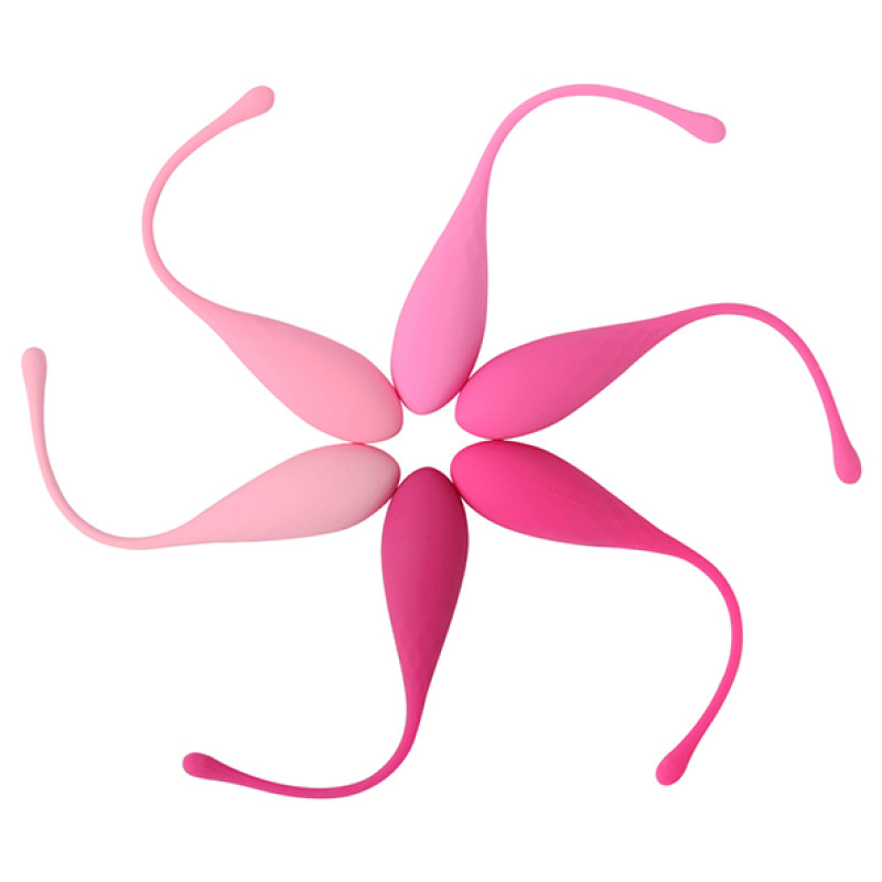 Великий набір вагінальних шариків FeelzToys FemmeFit