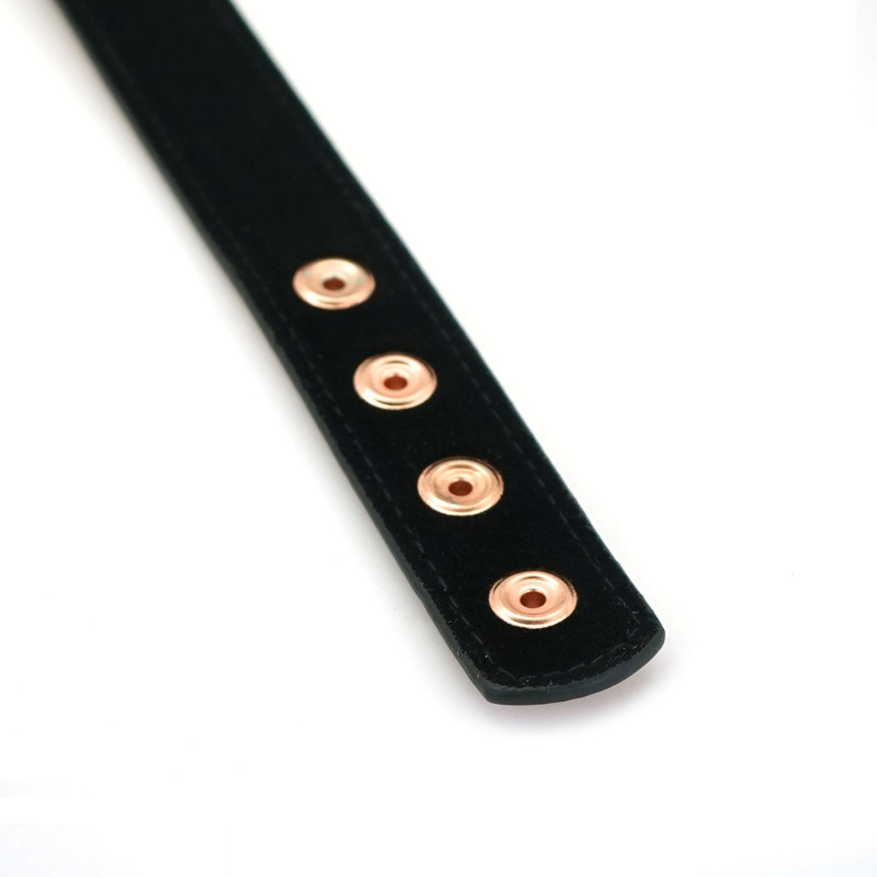 Ошейник с зажимами Liebe Seele Rose Gold Memory Collar with Nipple Clamps