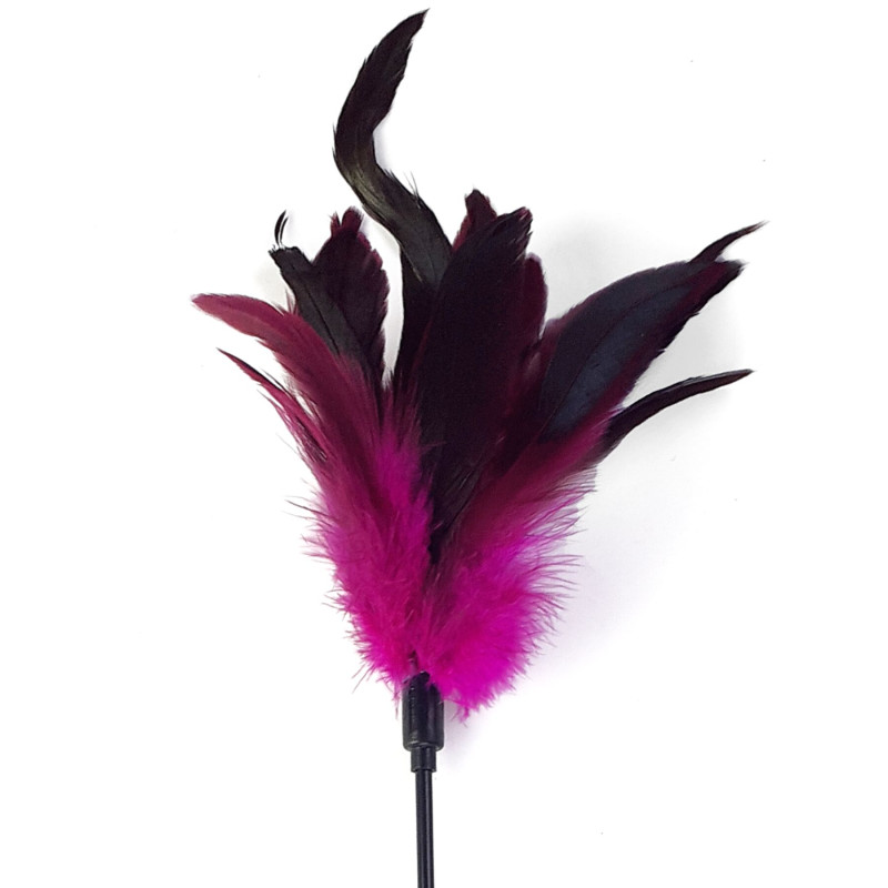 Перова лоскоталка Art of Sex - Feather Paddle, дрібне пір'я