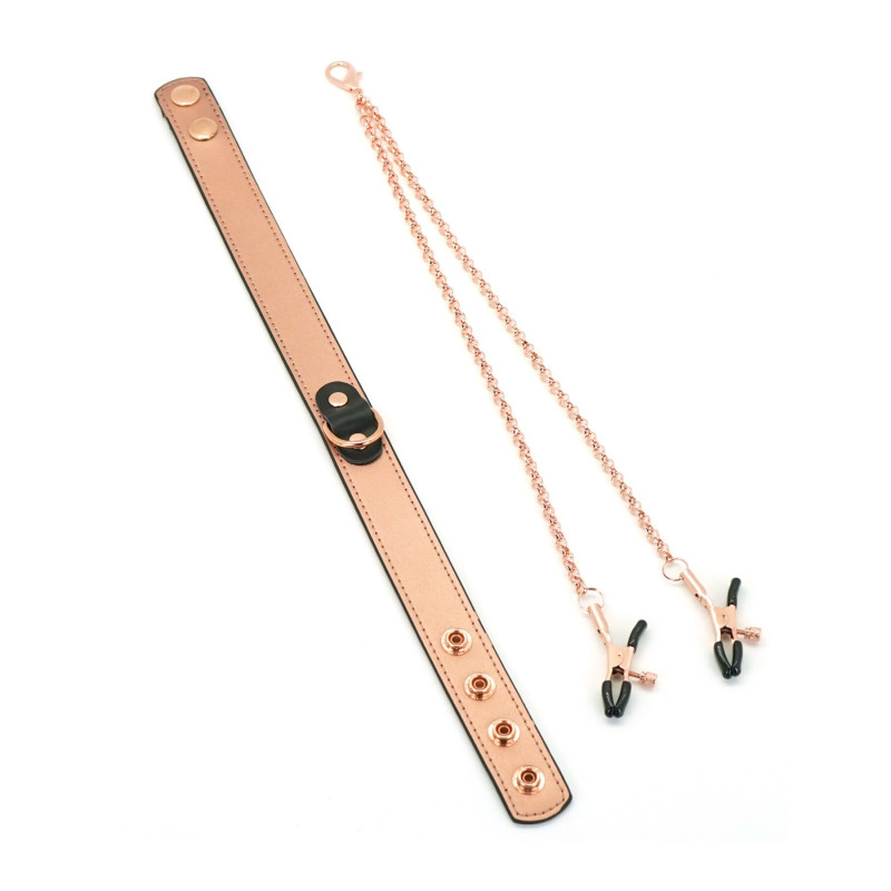 Ошейник с зажимами Liebe Seele Rose Gold Memory Collar with Nipple Clamps