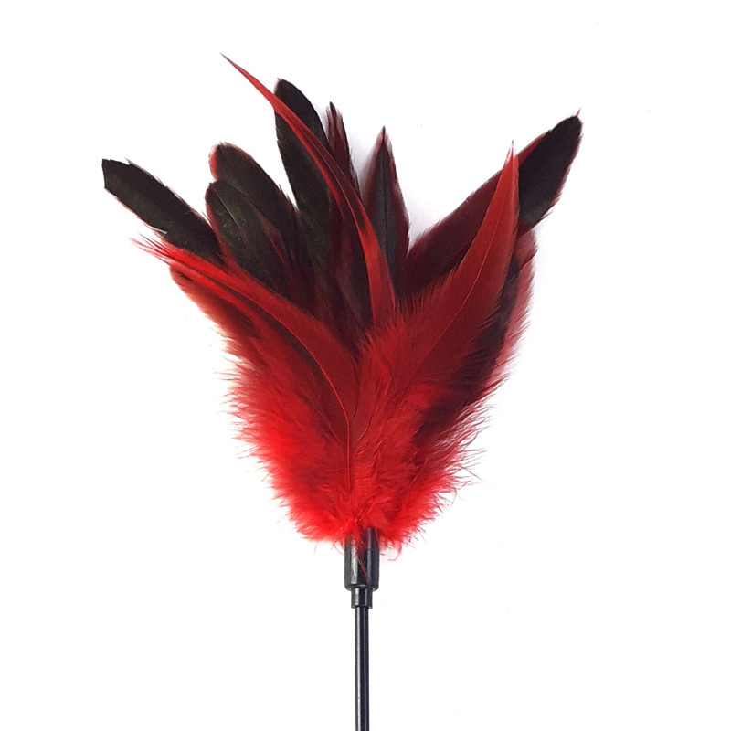 Перова лоскоталка Art of Sex - Feather Paddle, дрібне пір'я