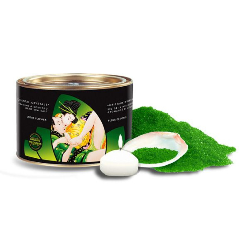 Подарочный набор в пару Shunga Garden Of Edo Organic зеленый чай