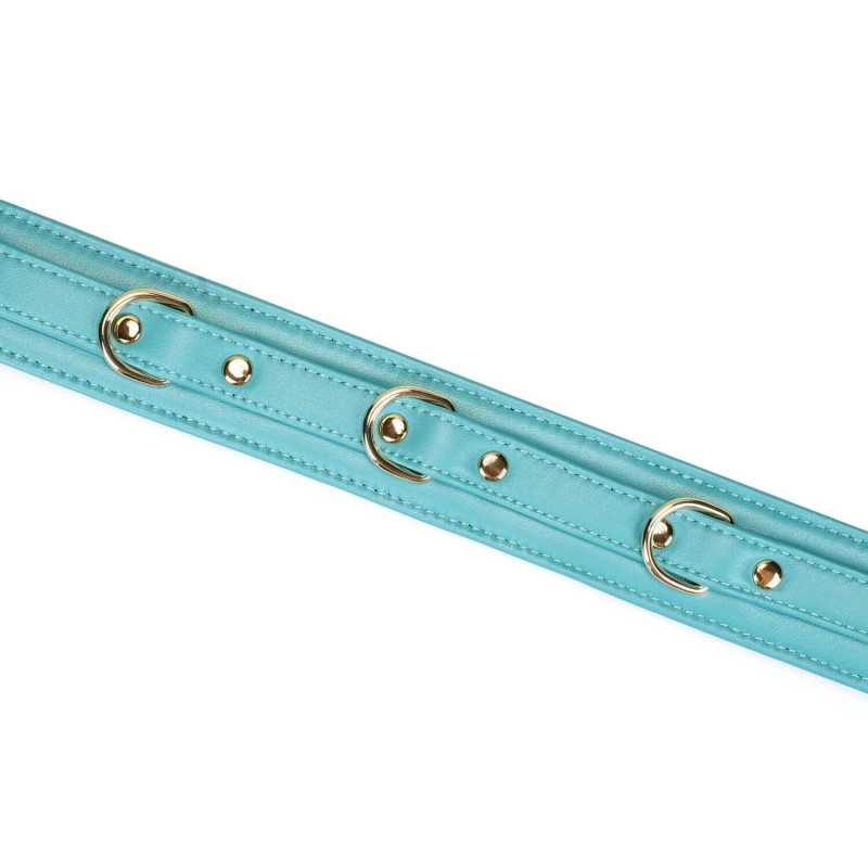 Нашийник з повідцем Liebe Seele Blue Lamb Leather Collar with Velvet Lining Нашийник з повідцем Liebe Seele Blue Lamb Leather Collar with Velvet Lining