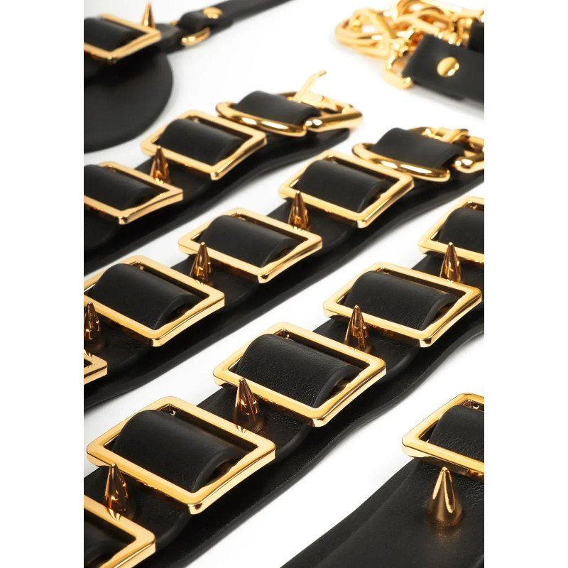 Шафа-валіза для БДСМ-аксесуарів TABOOM Desires Masterpiece Case, 11 предметів