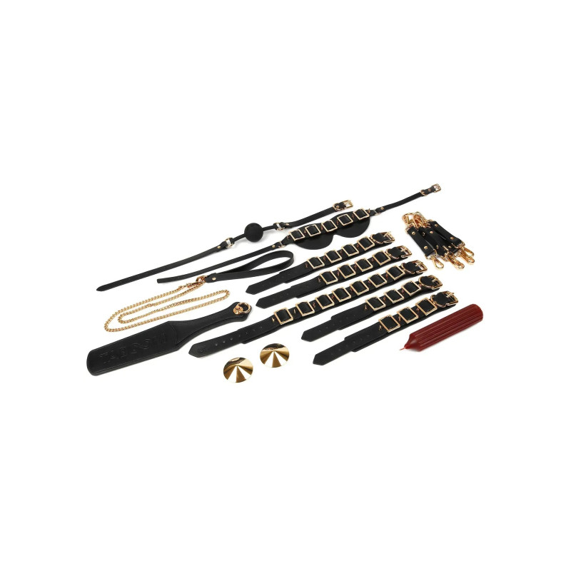 Шафа-валіза для БДСМ-аксесуарів TABOOM Desires Masterpiece Case, 11 предметів