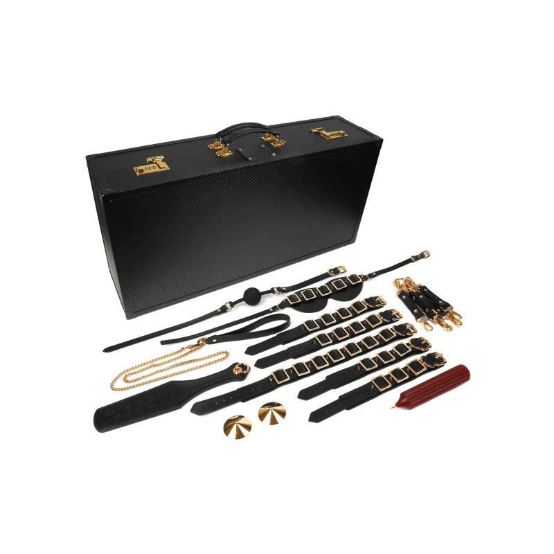 Шафа-валіза для БДСМ-аксесуарів TABOOM Desires Masterpiece Case, 11 предметів
